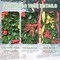 6FT Decorated Artificial Christmas Tree: Festive Lights, Ornaments & Bows - Perfect for Holiday Decor